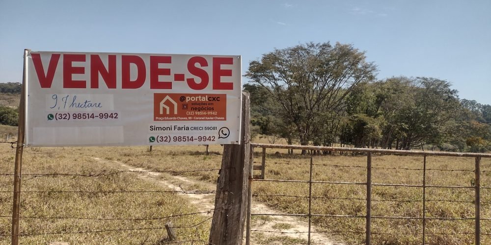 IMG_20250828_112654131_HDR