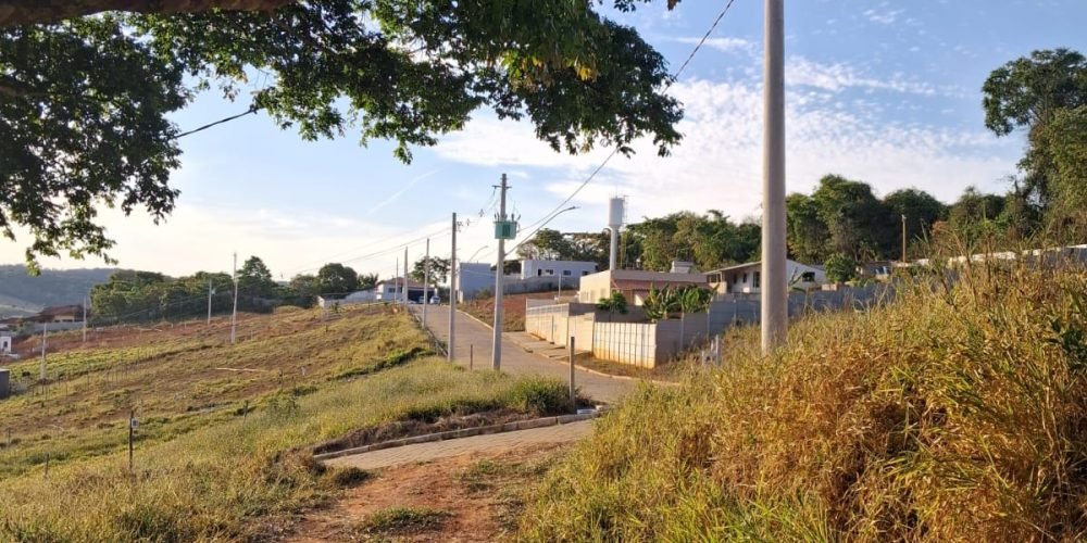 Vista parcial Lote 103